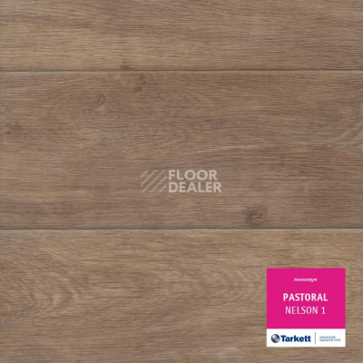 Линолеум Tarkett Pastoral NELSON 1 фото 1 | FLOORDEALER